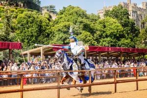Wars Of The Roses Joust