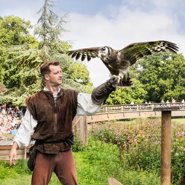 Winter Birds Of Prey