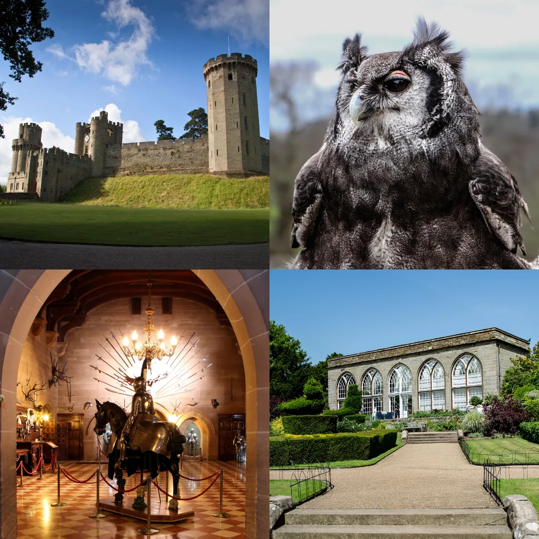 Website Images (2)