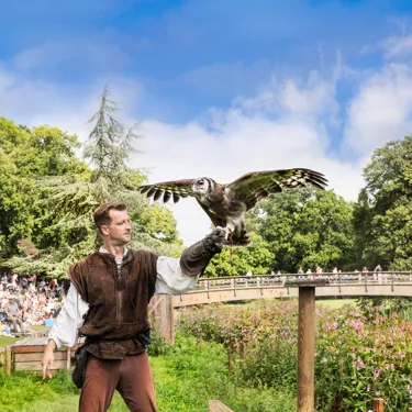 NEW Hero Owl