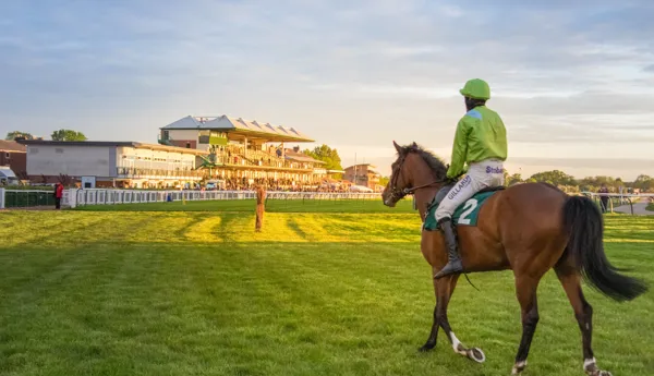 Racecourse Horse