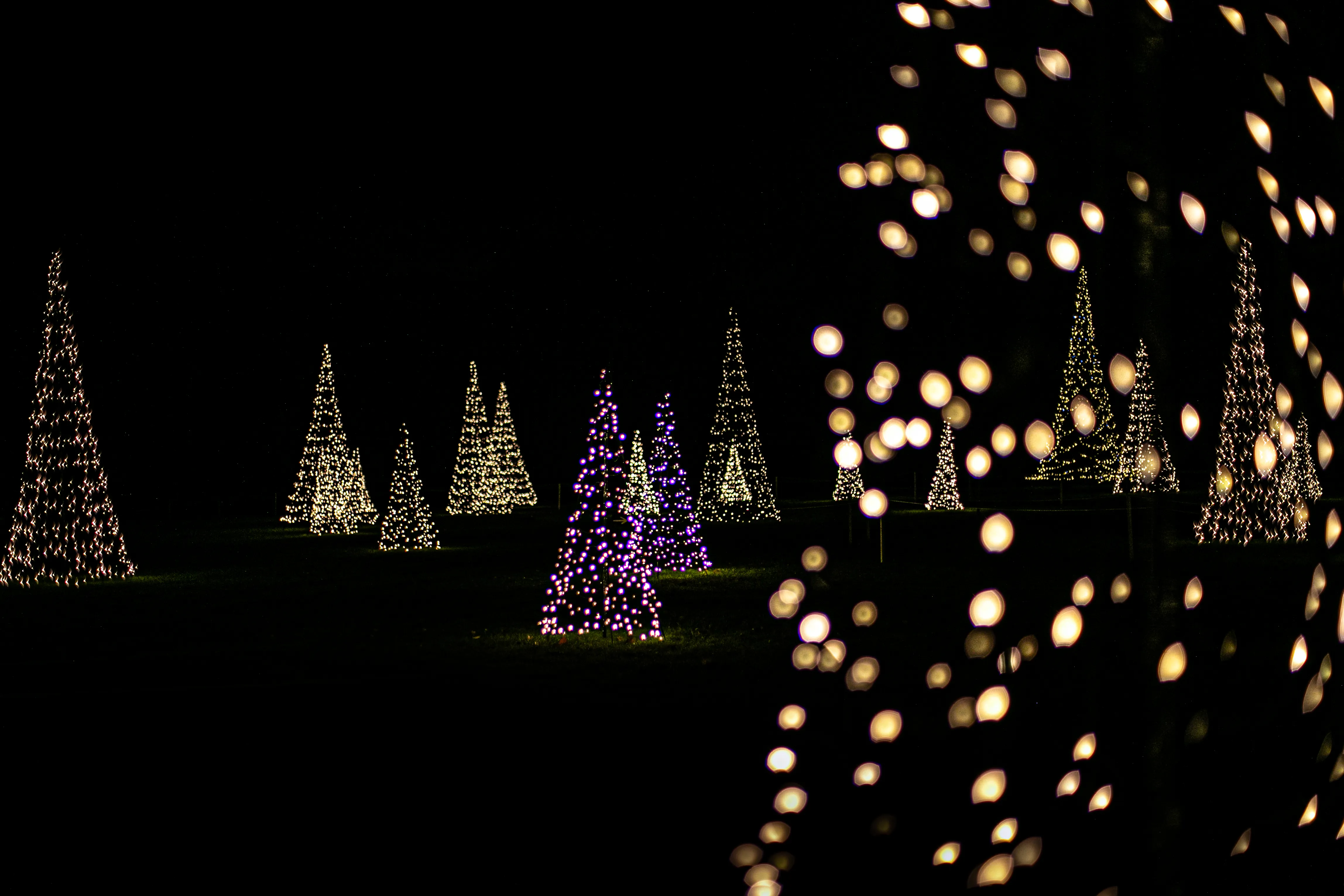 Light Trail 12