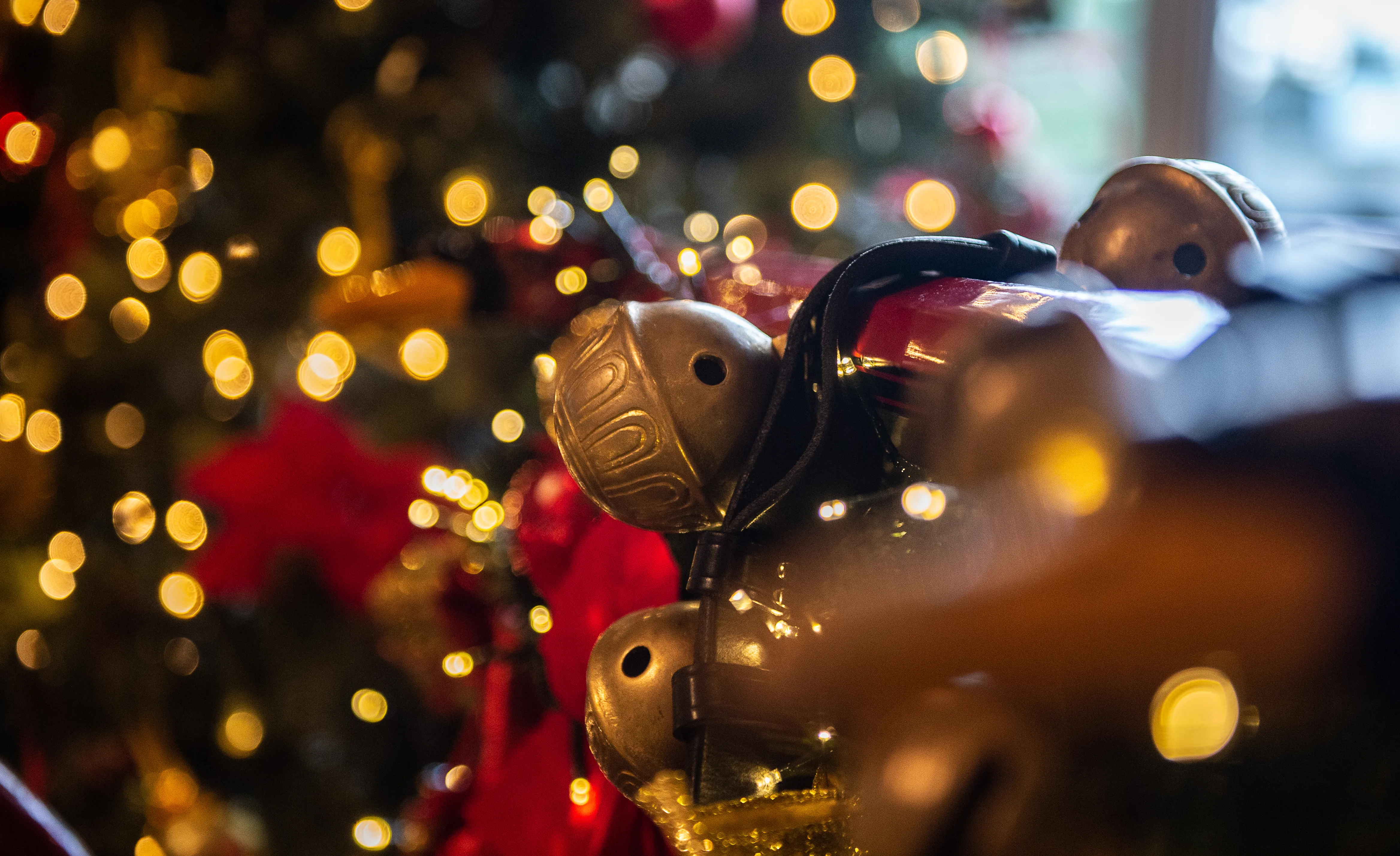 Decorations (16)