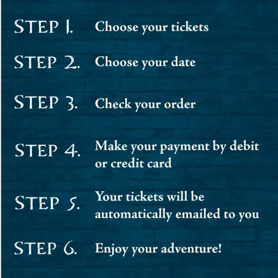 Booking Infographic