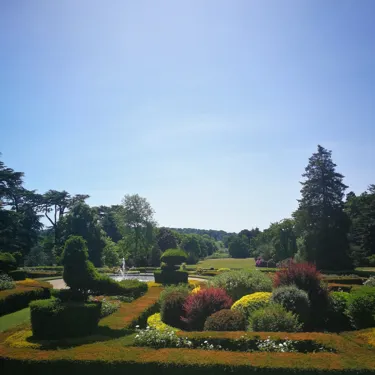 Peacock Garden - topiary