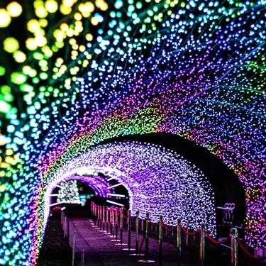 Light Trail 6